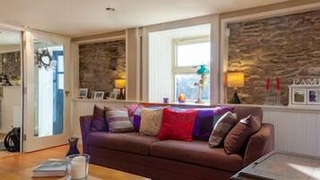 Smart TV, fireplace, DVD player, books