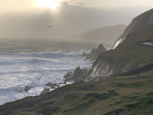 A coastal landscape with rugged cliffs, rough sea, and a bird flying. - Holiday Cottage located close to Dingle (Dingle)