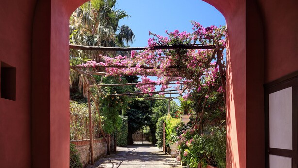 An arched pathway leading to a gated entrance, surrounded by lush greenery and flowering plants. - Sophia - Lovely Apartment   (Meta)