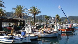 A marina with several boats docked, a covered area, and palm trees in the background.