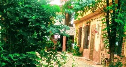 Batumi Wonderland Guest House