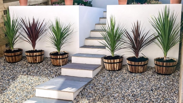 A garden area with a stone staircase leading to a white wall, surrounded by various potted plants. - 2 bedroom accommodation in Burnmouth, near Eyemouth (Burnmouth, near Eyemouth)