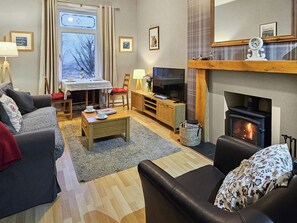 Fernseher, Kamin