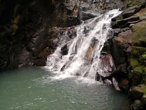 Hồ bơi
