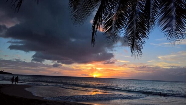 En strandscene med solnedgang, palmer og to personer der går langs kysten.