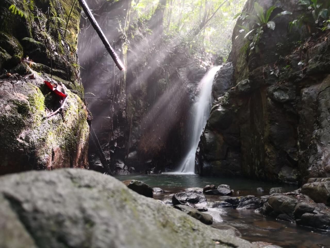 Ein natürlicher Wasserfall in bewaldeter Landschaft mit Steinen und Moos.
