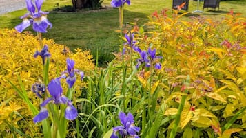 Skylark Suite (1st Floor) | Terrace/patio