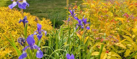 Skylark Suite (1st Floor) | Terrace/patio