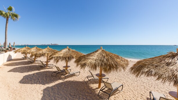 A beach with rows of sun loungers and thatched umbrellas, a palm tree, and a clear view of the ocean.