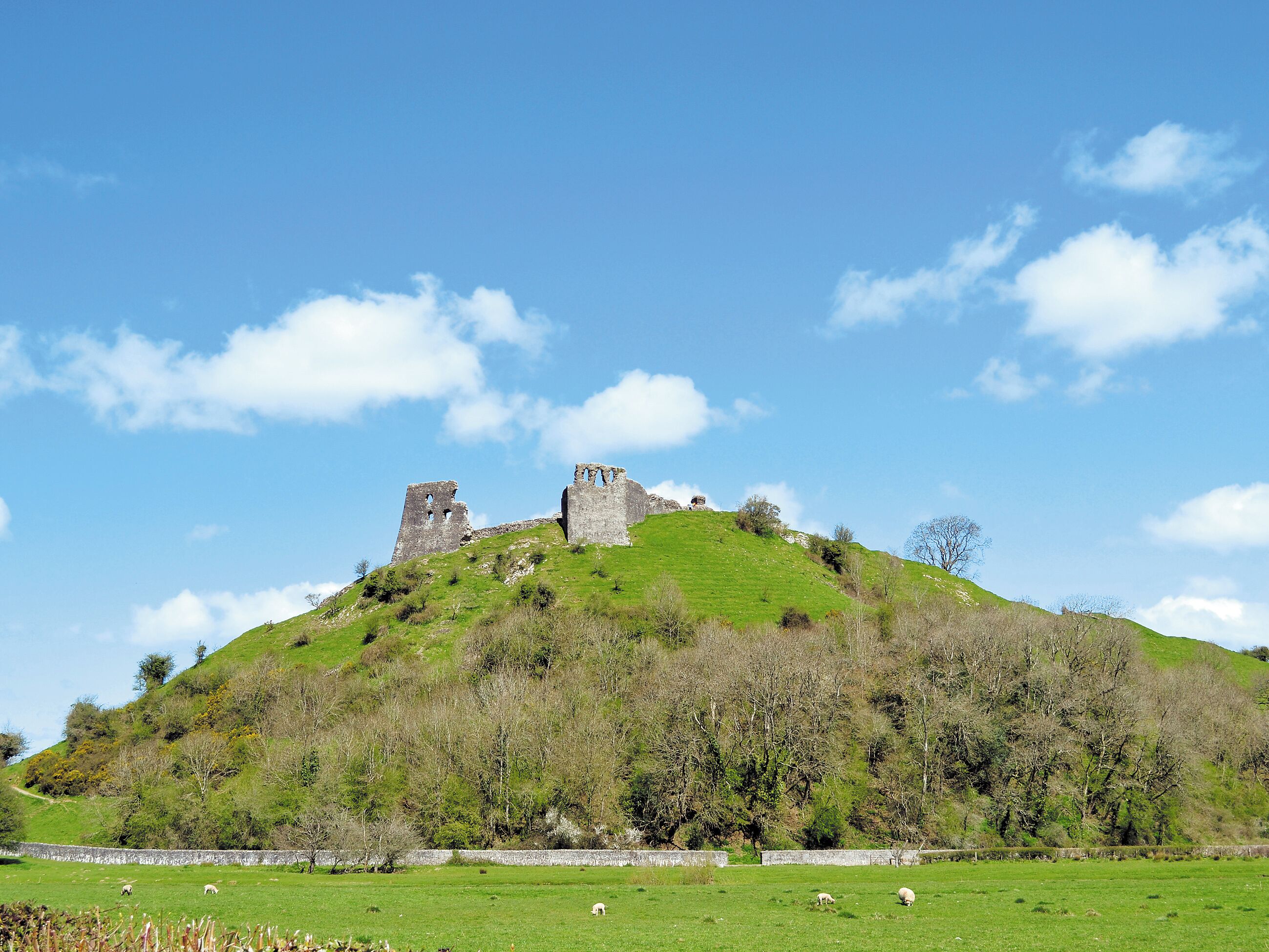 Une colline parsemée de ruines et un champ verdoyant où paissent des moutons.