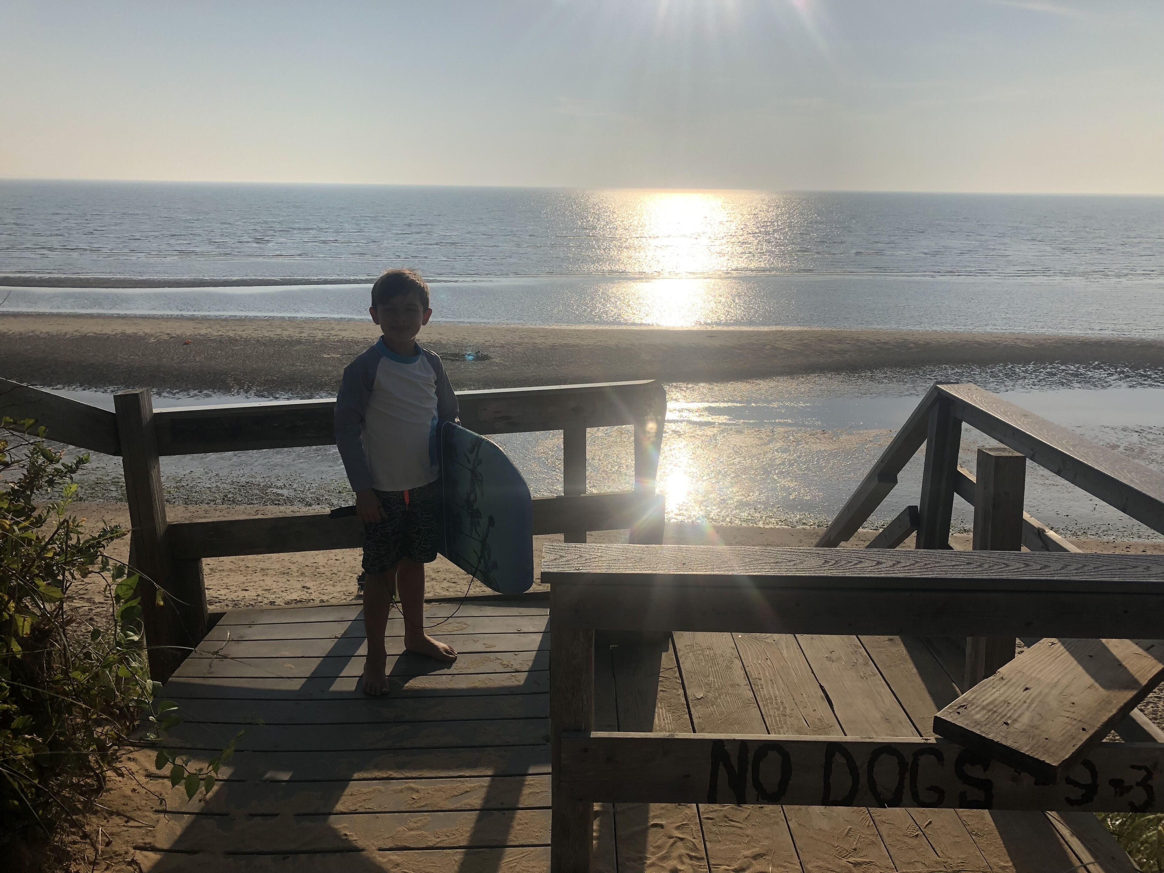 Una terraza de madera con un cartel de 'NO DOGS', con vista a una playa y un mar tranquilo, con un sol brillante al fondo.