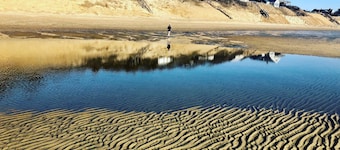 Steps to a private bay beach from this private & Charming Cape! Book this Fall!