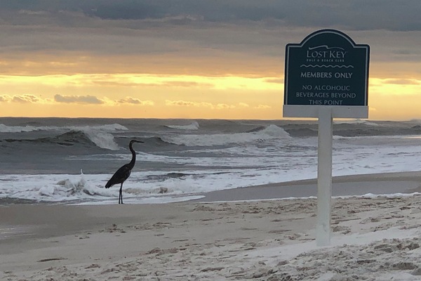 Private beach with pool, restrooms, restaurant and complementary beach service