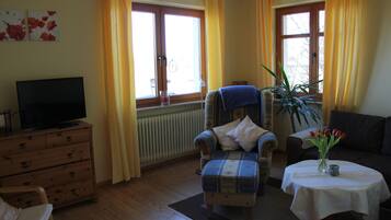 Flachbildfernseher, Bücher, Musikbibliothek