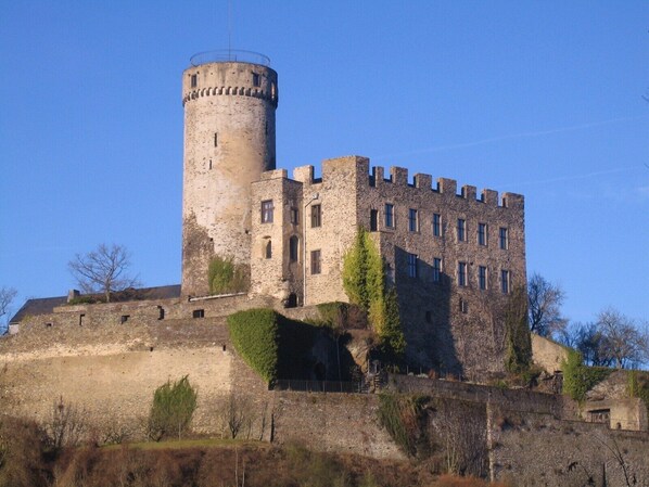 A historic castle with a prominent tower and fortified walls, situated on a hill with sparse vegetation. - Apartment at the castle Eltz (Wierschem)