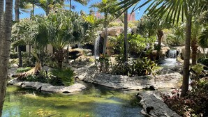 A tropical garden with a clear pond, rocks, and palm trees. - 3 Bedroom Lockoff  Harborside Atlantis April 19-26, 2025 with 10 Wristbands (Nassau)