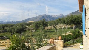 Paesaggio rurale con ulivi, un muro in pietra e una montagna sullo sfondo.