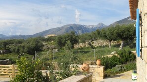 Área da propriedade