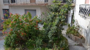 A courtyard with potted plants and a small tree. - Central Apartments Ortensia (Caulonia Marina)