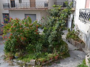 Property grounds - Central Apartments Ortensia (Caulonia Marina)