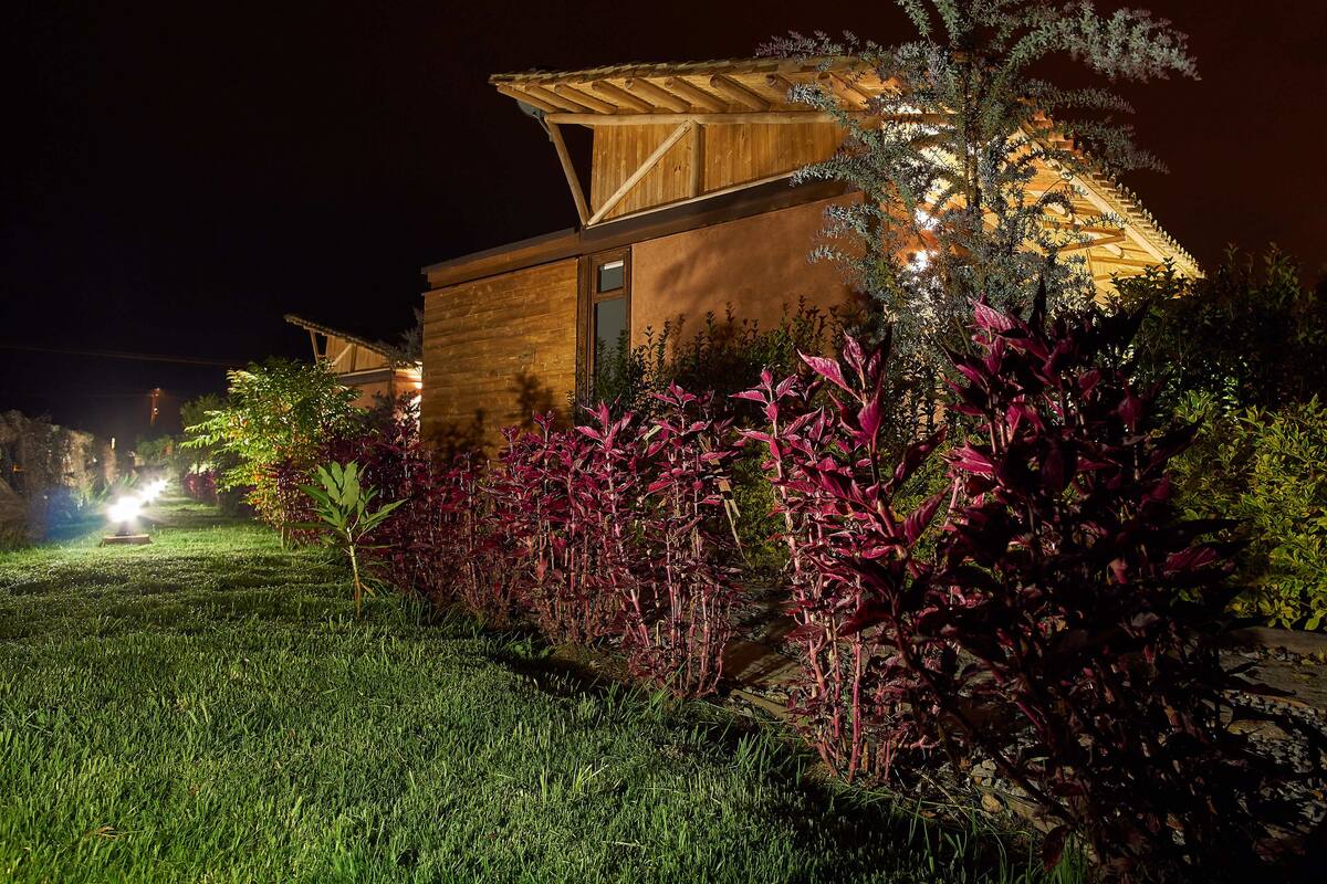 Family Cabin, Multiple Beds, Accessible, Hill View | Egyptian cotton sheets, premium bedding, down comforters