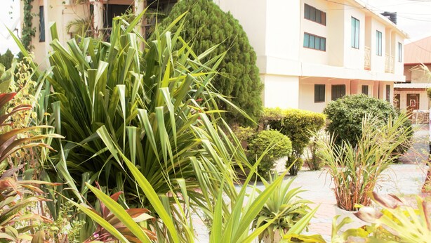 A building with a garden area featuring various plants and a paved walkway. - Tobehotel (Kumasi)