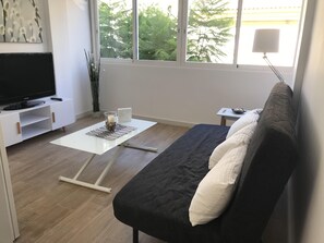TV
