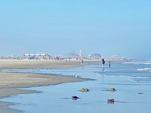 Beach nearby - 3 BR House, 2 Blocks To Beach, Nice Backyard For Grilling (Wildwood Crest)