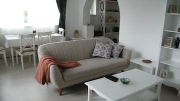 Smart TV, DVD player, music library, stereo