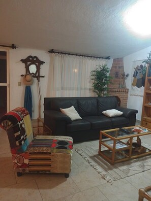 Televisión, chimenea y libros 