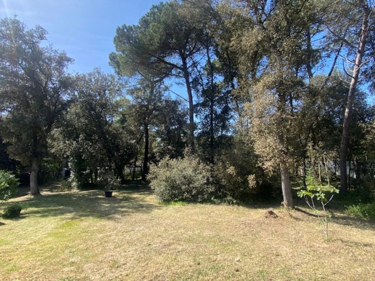 A natural outdoor area with trees and shrubs, a grassy field, and a small pond.