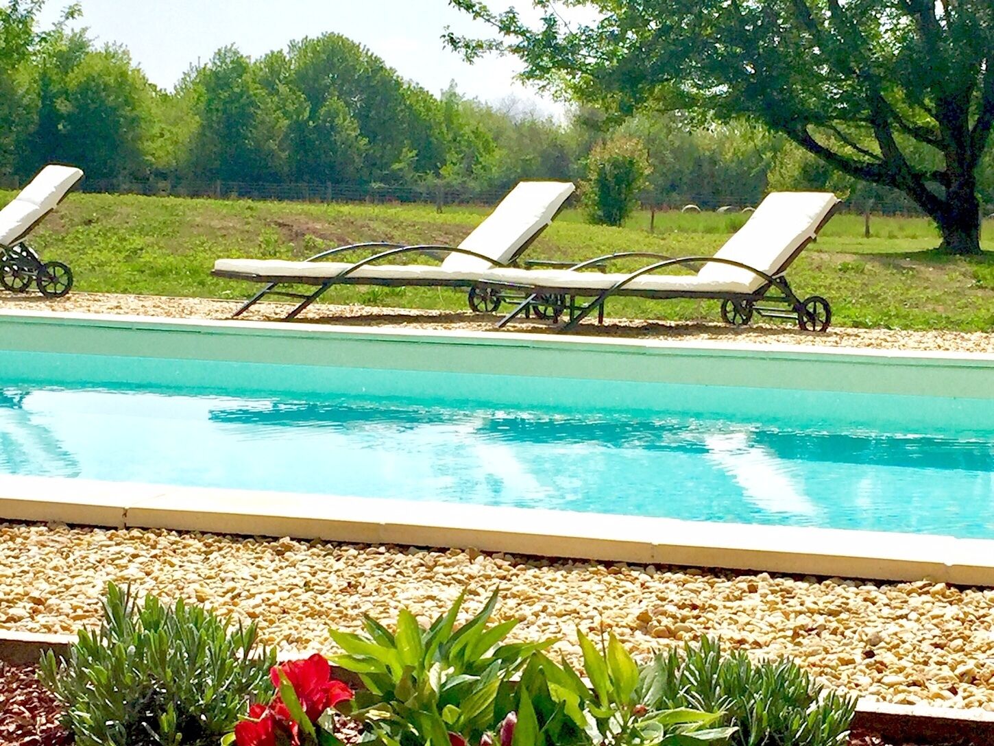 A swimming pool with lounge chairs and pebbles in the foreground.