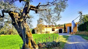 A rural property with a large tree, a dirt road, and a building with a tiled roof. - Rural house (full rental) Mas Hortus for 13 peopleOffers (Garriguella)