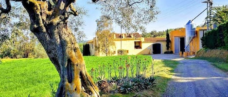 Área da propriedade