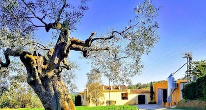 Rural house (full rental) Mas Hortus for 13 peopleOffers