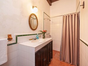 Shower, towels, toilet paper