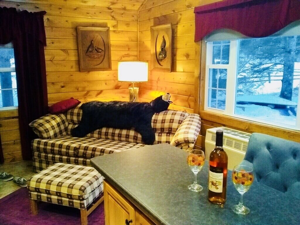 Cozy Beautiful Cottage on Maple Lake! 