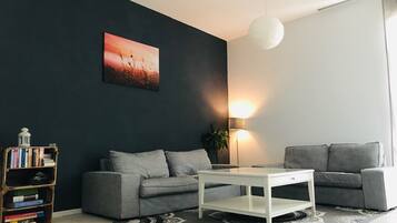 Smart TV, fireplace, DVD player, books