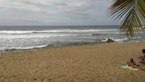 A beach with waves, a palm tree, and people sunbathing. - High End Amenities, Panoramic Sunset View, Roof Top Deck (Aguada)