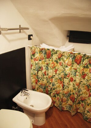 Shower, hair dryer, bidet, towels