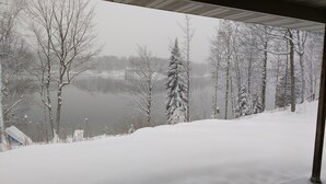 Un paysage enneigé avec un lac et des arbres.
