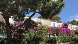 Una hilera de edificios blancos con contraventanas azules, rodeados de vegetación exuberante y plantas con flores púrpuras.