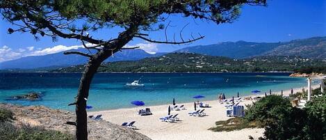 Am Strand