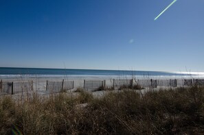 En strand med et træhegn og græsdyner.