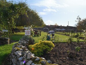 Un jardin avec un mur en pierre, un barbecue et un panneau indiquant qu’il est interdit d’y accéder avec des chiens.
