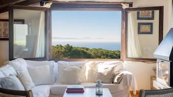 Smart TV, lareira, livros, aparelho de som