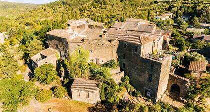 Location de vacances**** Le Roc sur l'Orbieu 8pers piscine privée chauffée
