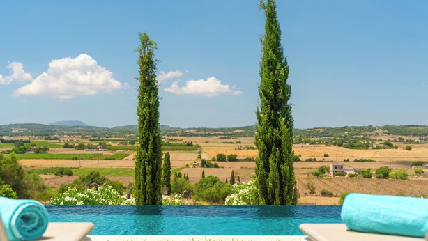 Une piscine à débordement offrant une vue sur un paysage rural, avec deux grands arbres et un ciel dégagé.