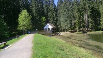 Parco della struttura