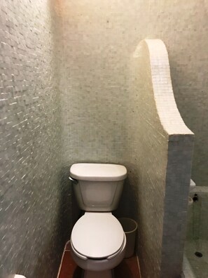 Séchoir à cheveux, serviettes fournies, shampooing, papier de toilette